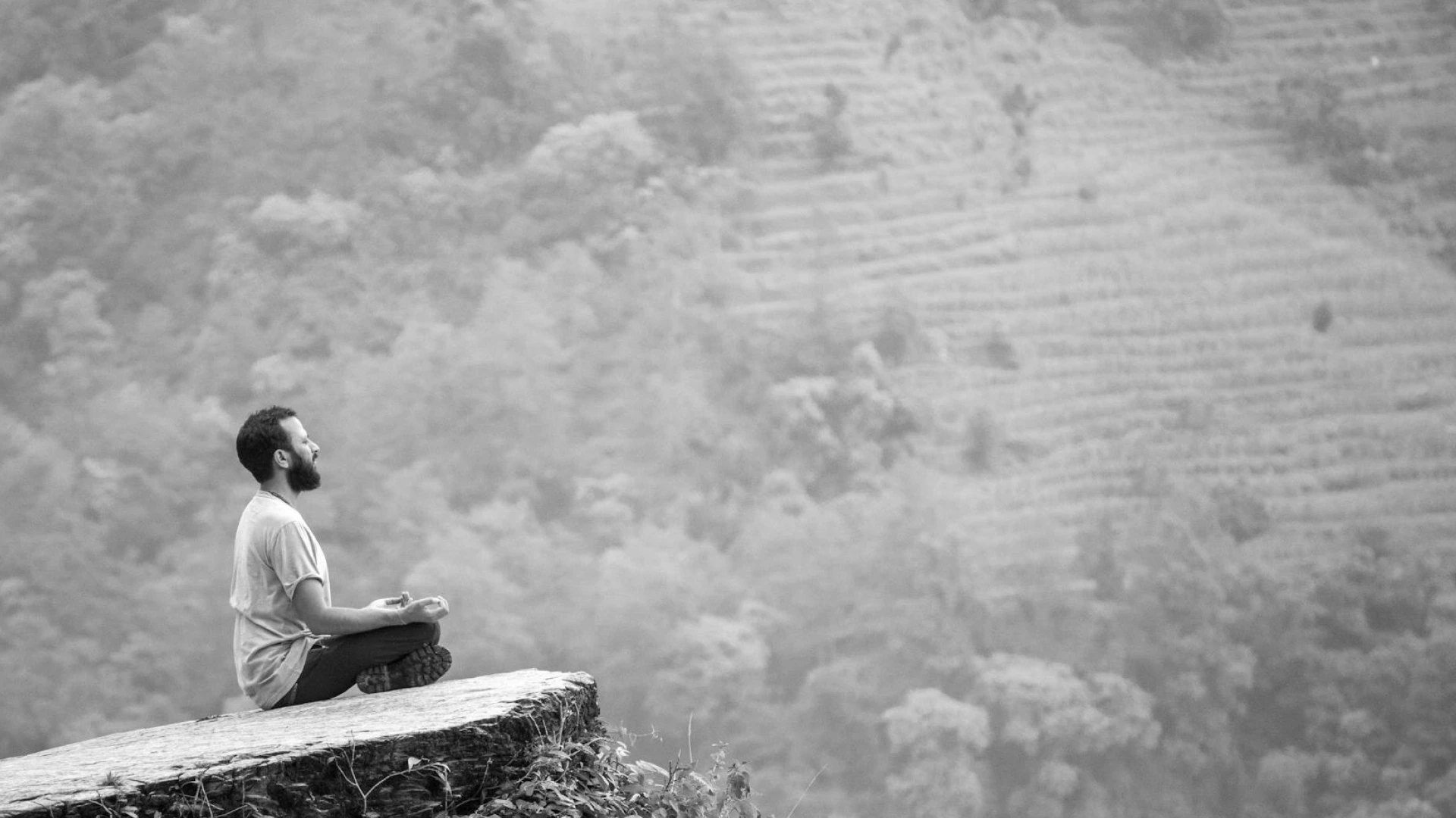 A man meditating on a rock surrounded by greenery.
